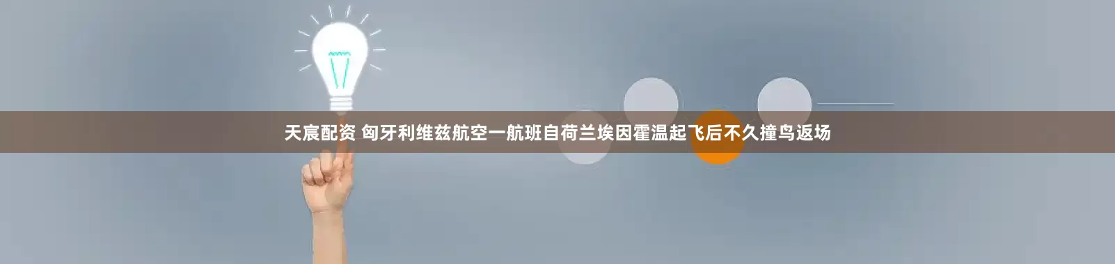天宸配资 匈牙利维兹航空一航班自荷兰埃因霍温起飞后不久撞鸟返场