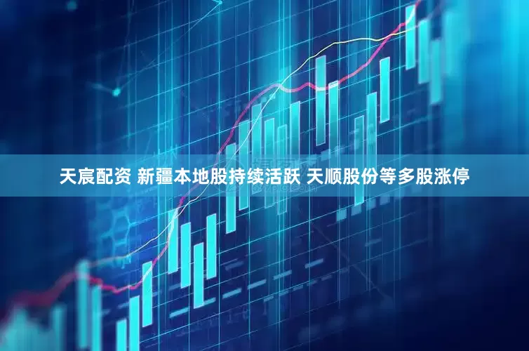 天宸配资 新疆本地股持续活跃 天顺股份等多股涨停