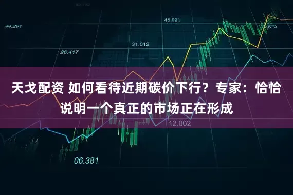天戈配资 如何看待近期碳价下行？专家：恰恰说明一个真正的市场正在形成