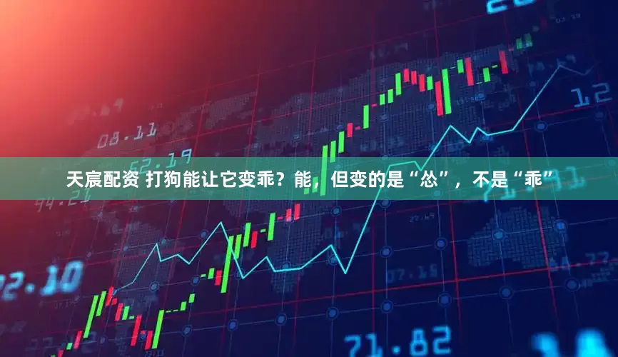 天宸配资 打狗能让它变乖？能，但变的是“怂”，不是“乖”