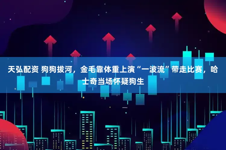 天弘配资 狗狗拔河，金毛靠体重上演“一波流”带走比赛，哈士奇当场怀疑狗生